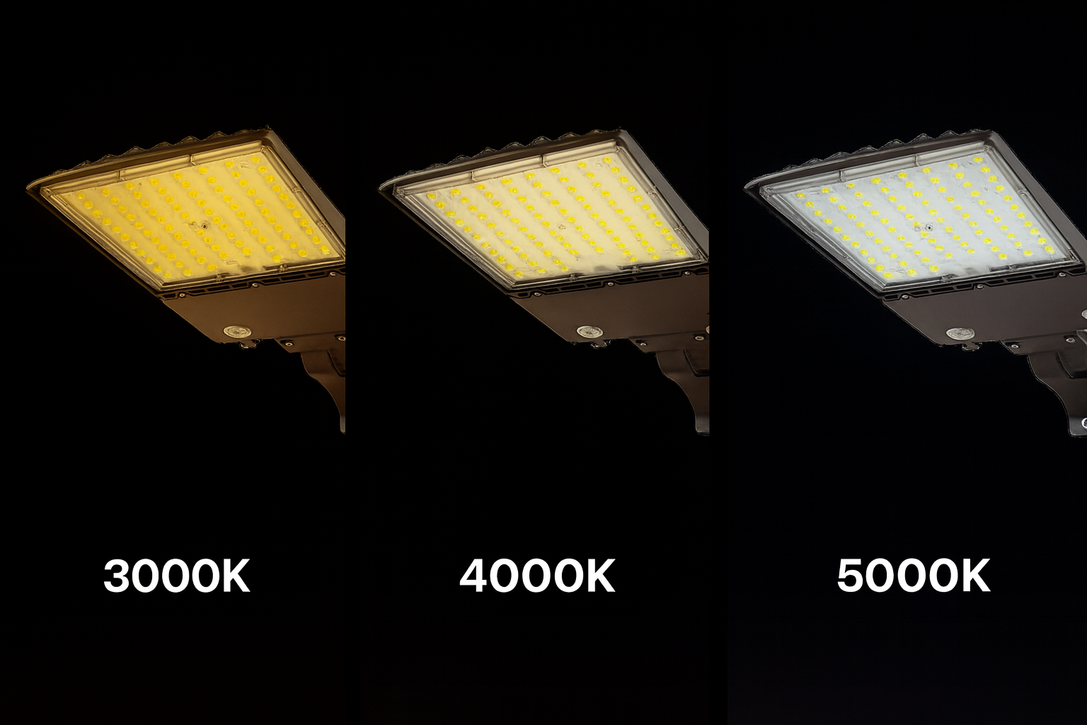 Econo Series LED Area Light 277V CCT selectable image