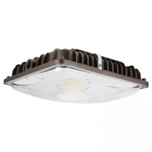LED Canopy Light